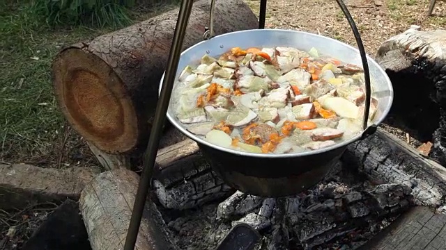 新鲜采摘的蘑菇在明火上烹饪视频素材