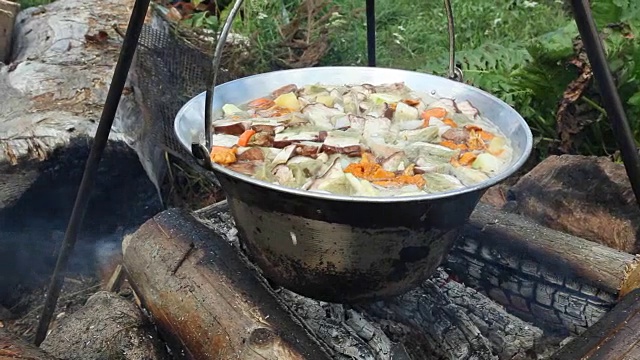 新鲜采摘的蘑菇在明火上烹饪视频素材