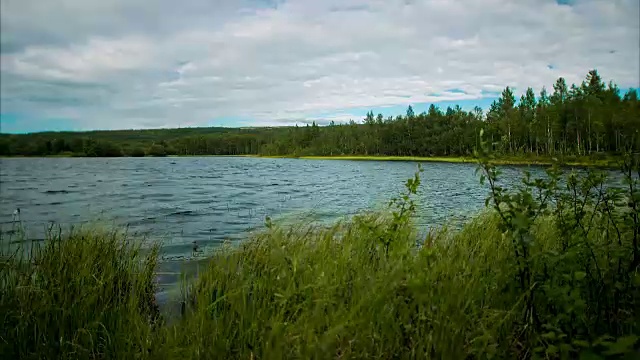 森林湖在夏天。一次圈视频素材