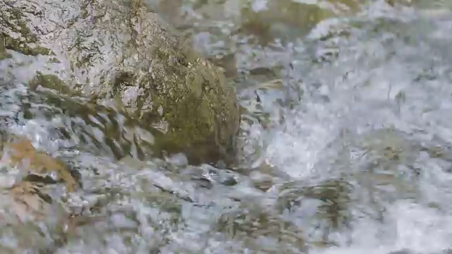 日本东京奥多摩市多摩河的水流视频素材