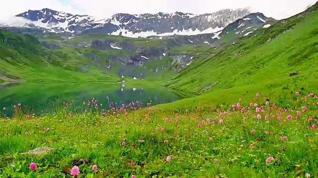 花团锦簇的草地靠近高高的雪山湖视频素材