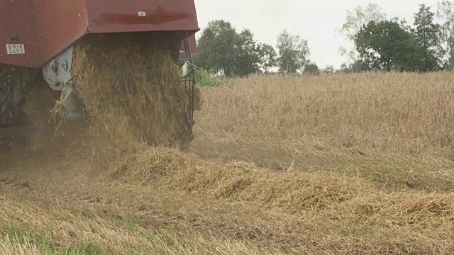 联合收割机收割小麦视频素材