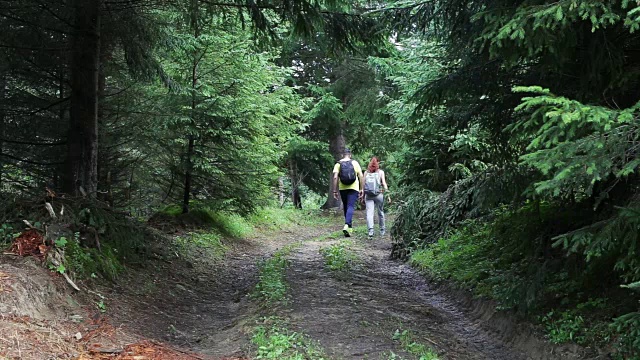 一对背包客在山路上徒步旅行视频素材