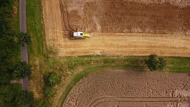 玉米田鸟瞰图-联合收割机视频素材