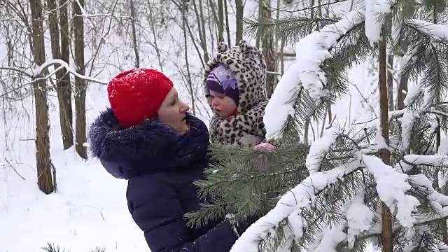 母亲和女儿在冬天抖掉杉树树枝上的雪。FullHD视频素材