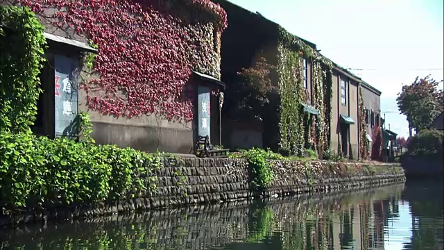 观点;日本北海道小樽运河邮轮视频素材