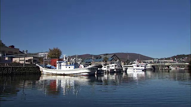 观点;日本北海道小樽运河邮轮视频素材