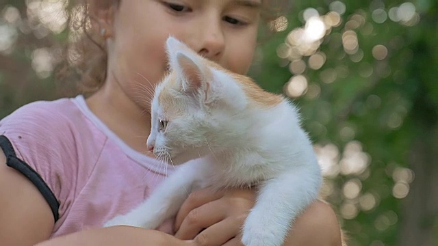 女孩棕发抱着小猫在她的猫怀里青少年爱户外视频素材