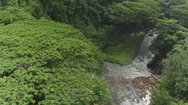 在令人惊叹的茂密丛林中，美丽的瀑布飞溅在岩石上视频素材