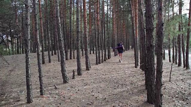 年轻疲惫的女游客背包旅行沿着干燥的森林。旅游的概念视频素材