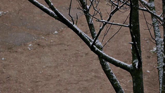 降雪在城市视频素材