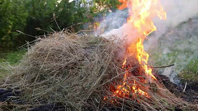 田野里的干草被风吹得鼓鼓囊囊的视频素材