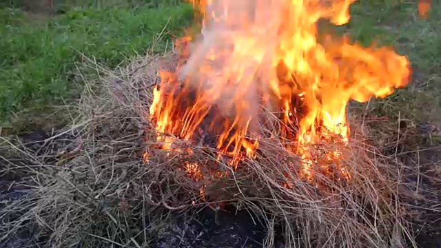 田野里的干草被风吹得鼓鼓囊囊的视频素材