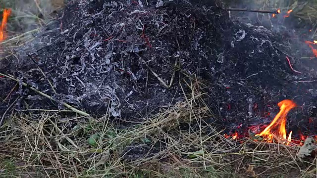 田野里的干草被风吹得鼓鼓囊囊的视频素材