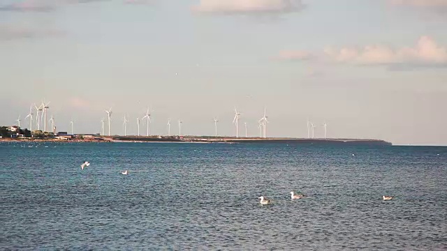 海景。天空中的海鸥。在一个风力涡轮机的背景视图。视频下载