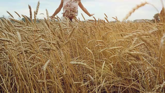 年轻快乐的女人在麦田里散步和奔跑。夕阳西下，一个年轻女孩的手慢慢地抚摸着田野里的玉米穗。hd 1920 x1080视频素材