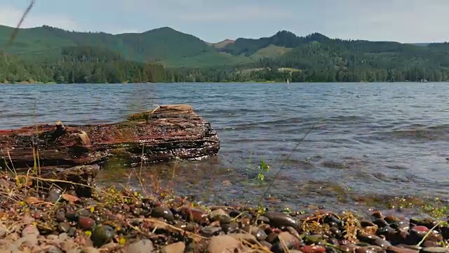 登陆Lake Shore视频下载