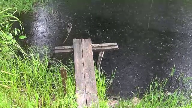 雨落在池塘上视频素材