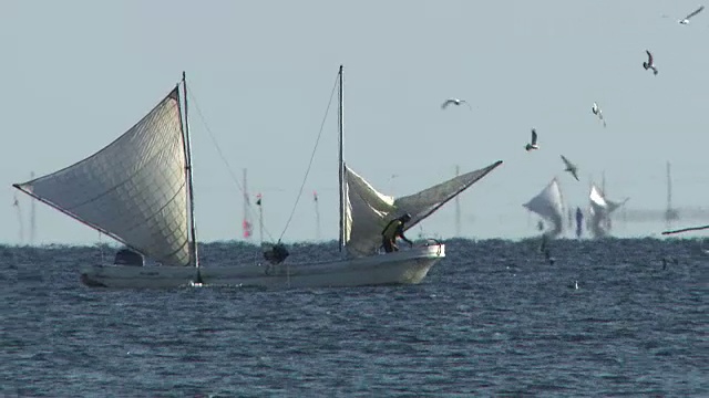 御色班，渔船，海上，北海道，日本视频素材