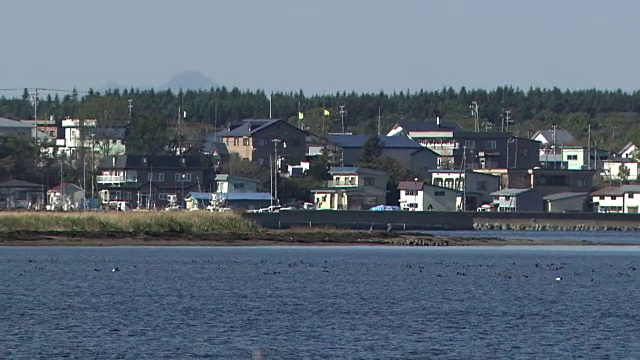 日本北海道御台东湾视频素材