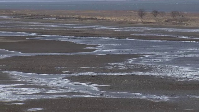 日本北海道诺助半岛视频素材