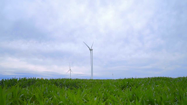 风电场在绿色的田野。风力涡轮机的农场。风能技术视频素材