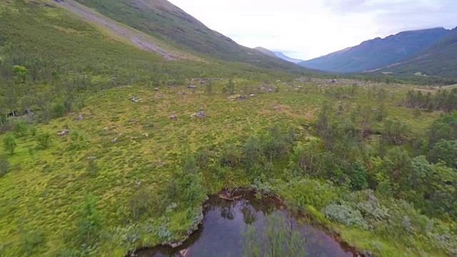 飞过一条小溪和高山之间的树木视频素材