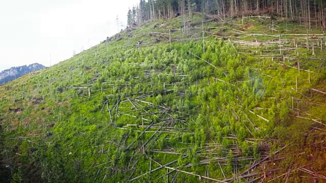 塔特拉山，波兰山的全景在假期，Zakopane，波兰，欧洲视频素材