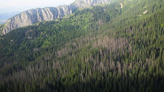 塔特拉山，波兰山的全景在假期，Zakopane，波兰，欧洲视频素材