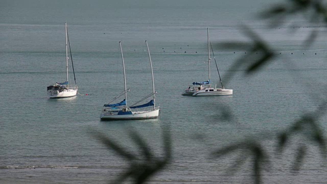 海湾里有船。视频素材