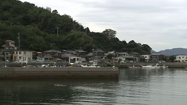 日本山口市须久岛渔港视频素材