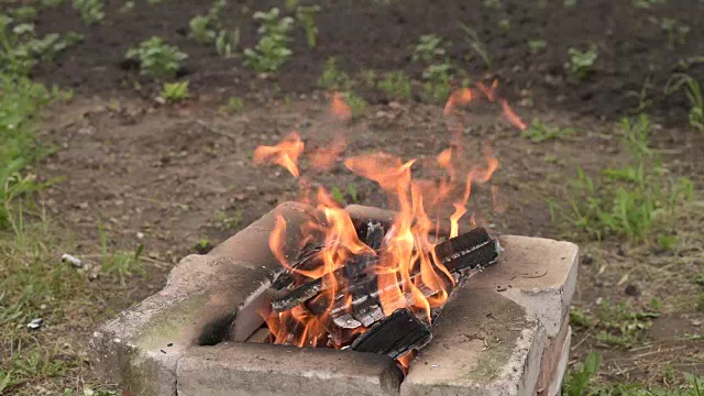 夏日花园着火了视频下载