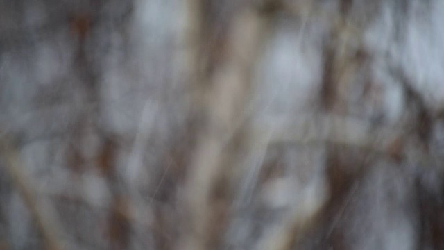 倾斜的雪落在灰色和白色模糊的背景视频素材