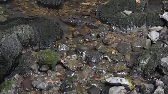 山洞里的小山涧视频素材