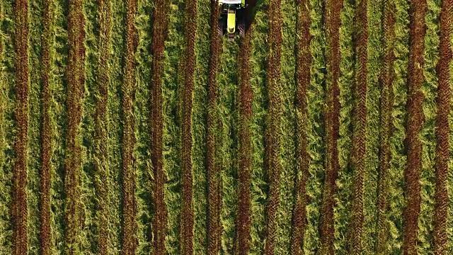 拖拉机躺在剪草的草堆上。俯视图视频素材