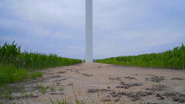 风力涡轮机。风力涡轮机的特写站在玉米田之间的乡村道路上视频素材