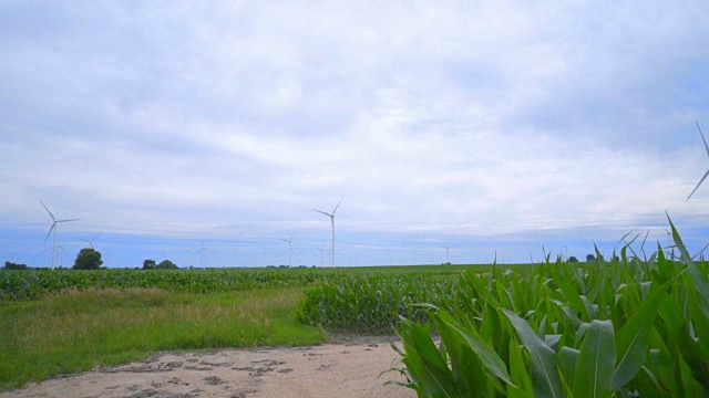 绿色田野上的风力涡轮机农场。风力涡轮机的风景视频素材