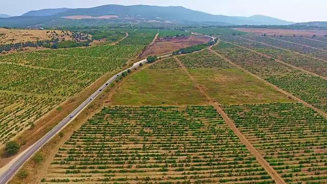 汽车在山路上行驶，穿过美丽的葡萄园地视频下载