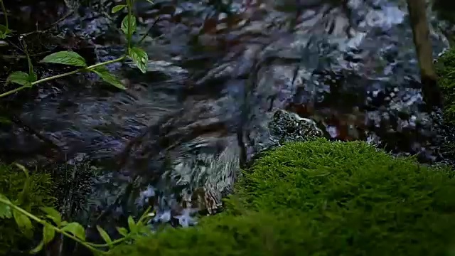 清澈的泉水从山上流向瀑布视频素材