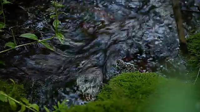 山间小溪中纯净的泉水视频素材