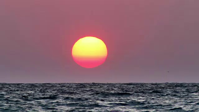 海上日出视频素材