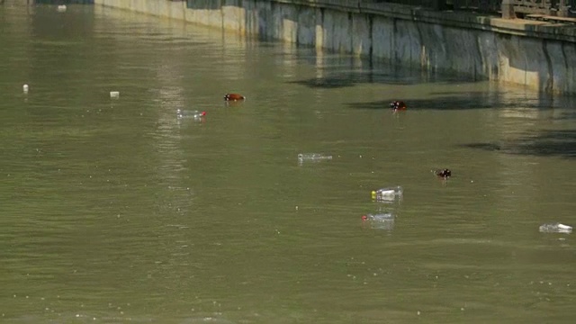 漂浮在城市河里的塑料瓶视频素材