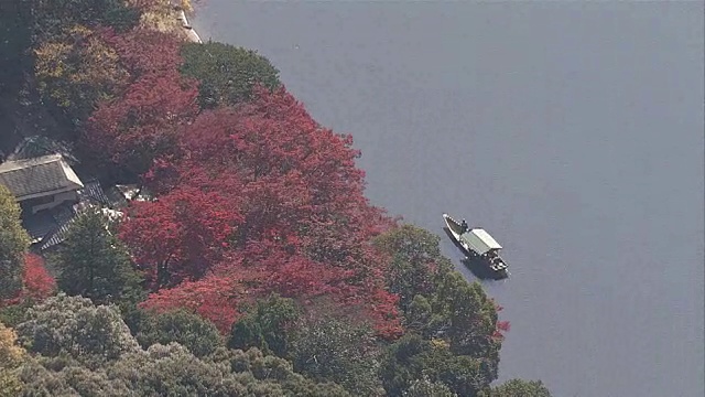 秋叶在星冢河和桂河。视频素材