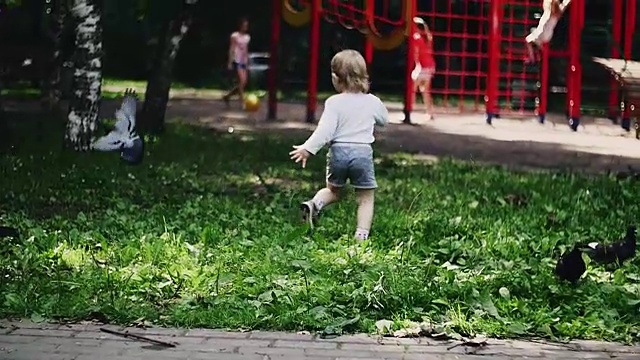 金发小男孩在夏季公园的操场上为鸽子奔跑。的童年。太阳视频素材