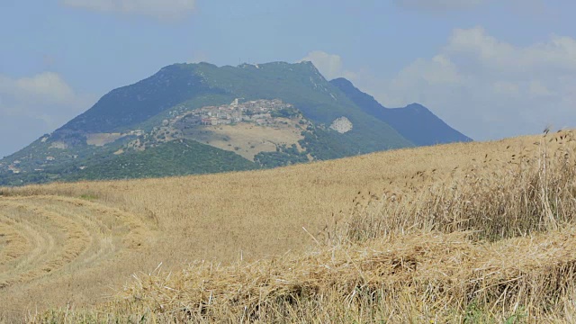 风吹着玉米地，背景是群山视频素材