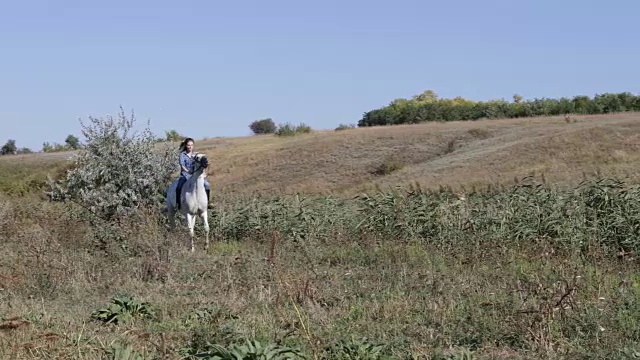 女人骑马田野女牛仔乡下视频下载