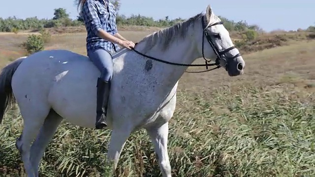 女人骑马田野女牛仔乡下视频素材