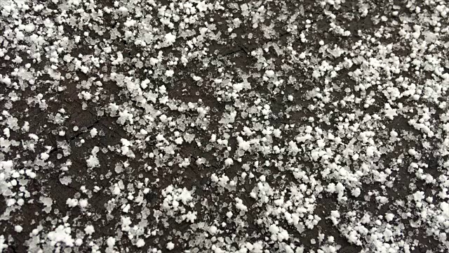 大朵雪花落在树桩上视频下载