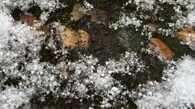 大朵的雪花落在跑道上视频素材