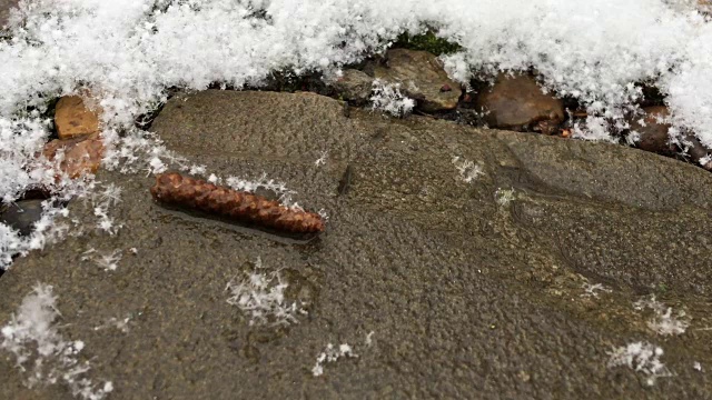 大朵的雪花落在跑道上视频素材